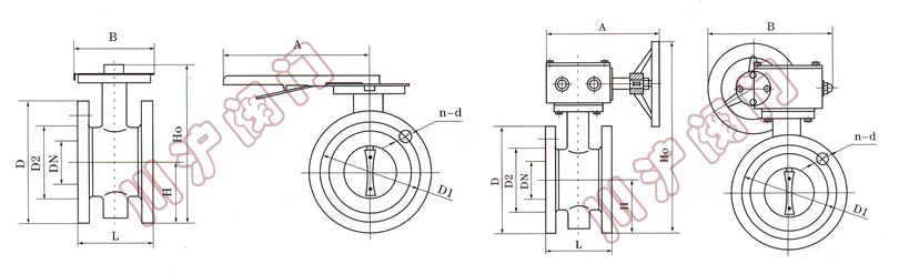 軟密封法蘭蝶閥結(jié)構圖