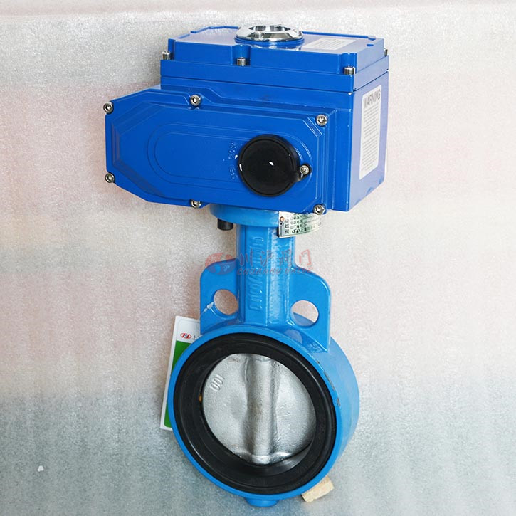 電動對夾蝶閥實(shí)物圖